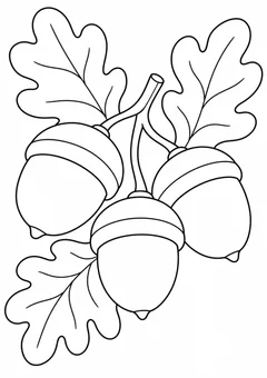 Bolotas e folhas de carvalho para colorir