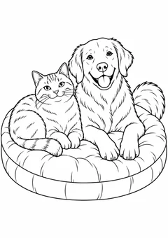 Gato e cachorro amigos para colorir