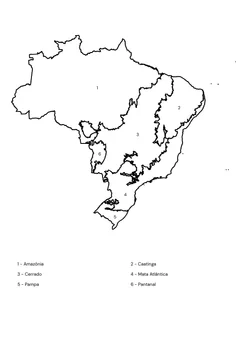Biomas do Brasil com nomes para colorir