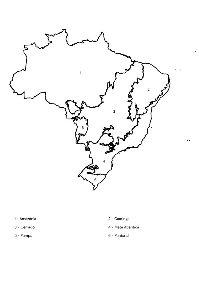 Biomas do Brasil com nomes para colorir