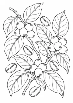 Padrão de folhas de café e grãos para colorir
