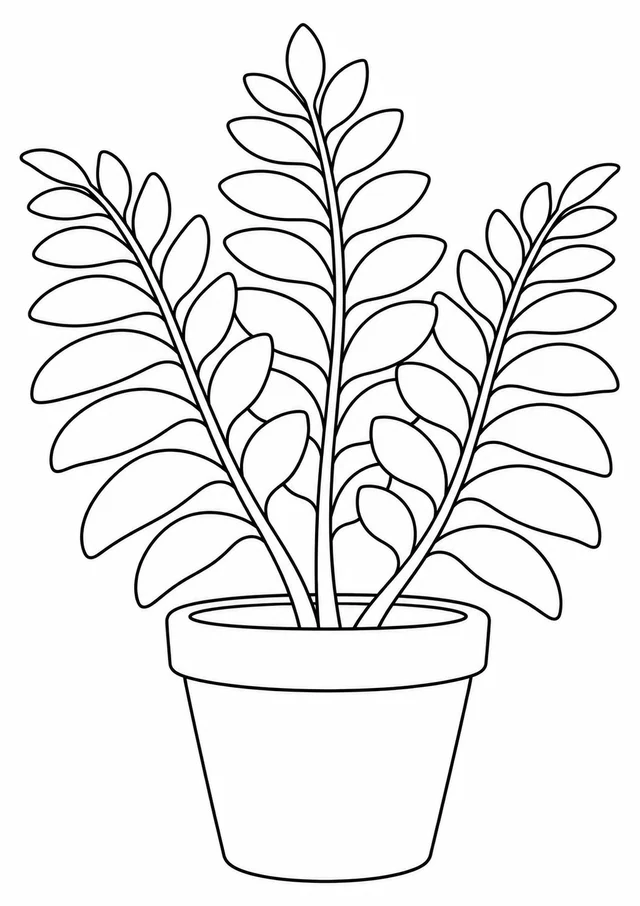 Samambaia de folhas largas num vaso para colorir